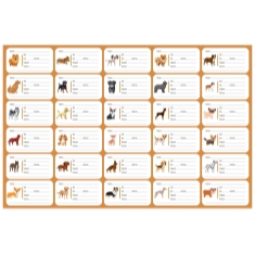 Buy Custom School Notebook Labels for Kids | ZBox