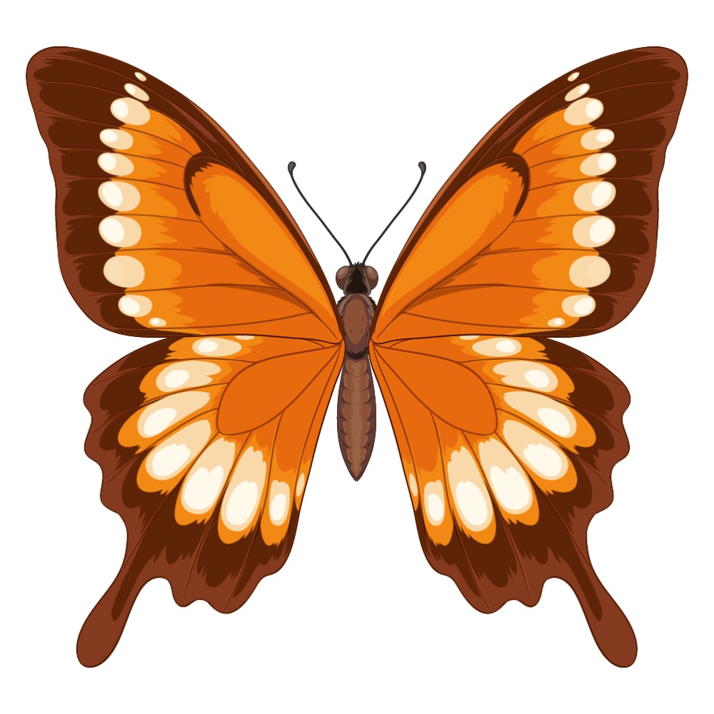 BD-Butterfly-Cutout-01_1_-Frm_447386.jpg