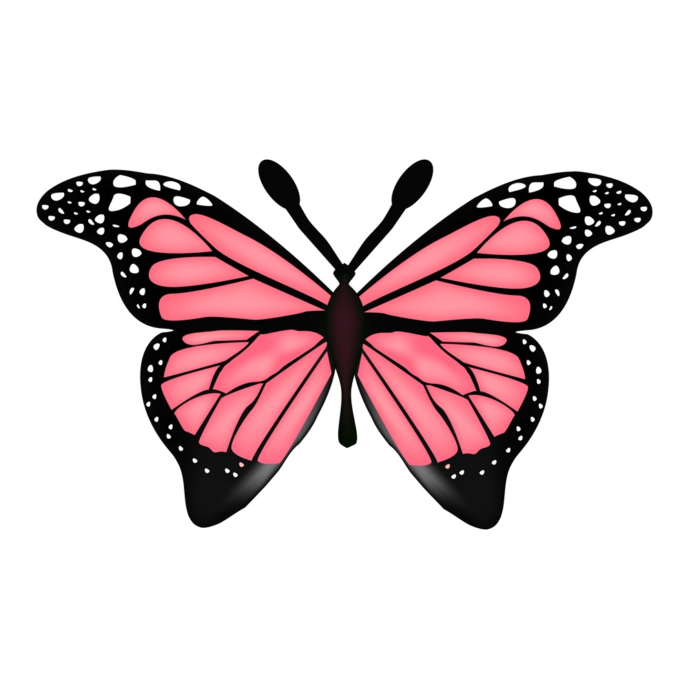 BD - Butterfly Cutout - 02