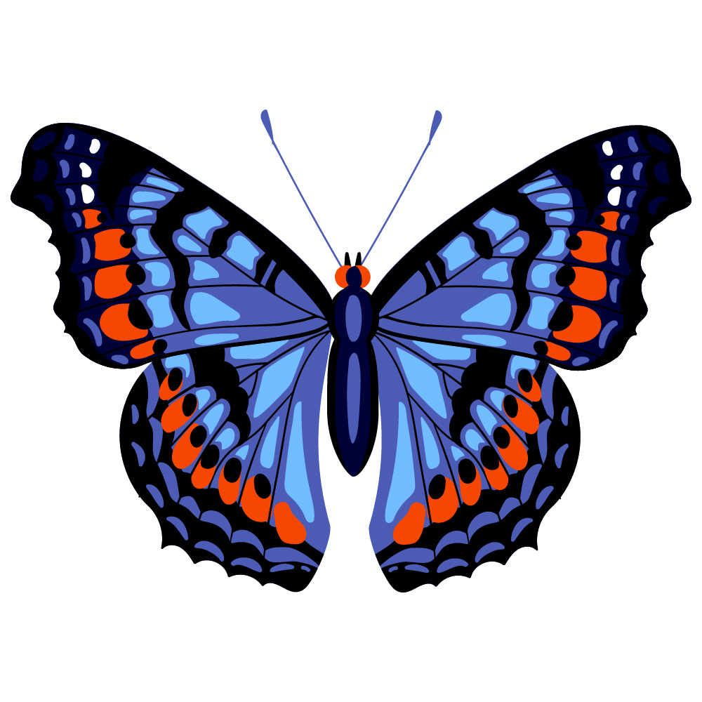 BD-Butterfly-Cutout-08_1_-Frm_437974.jpg