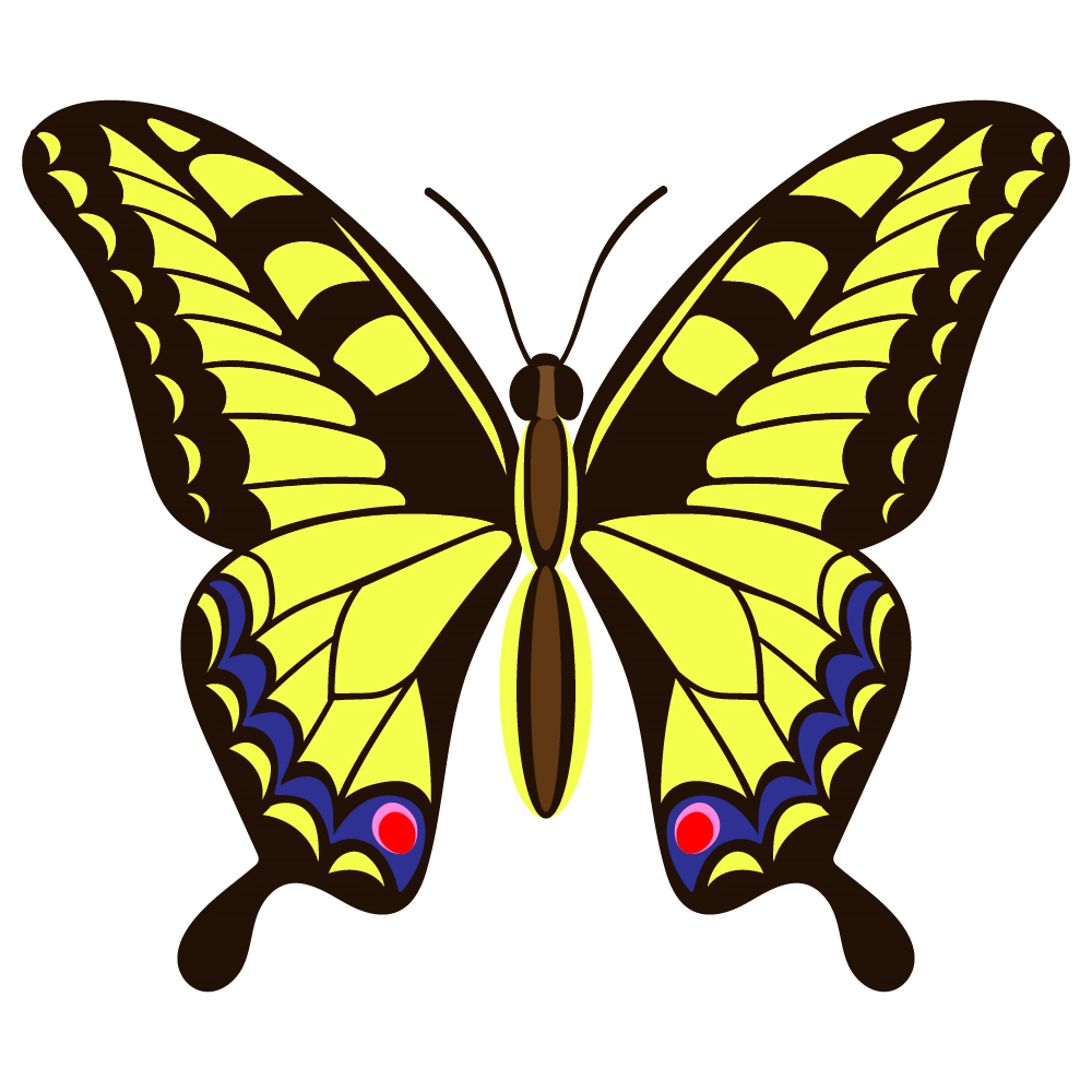BD-Butterfly-Cutout-09_1_-Frm_980972.jpg