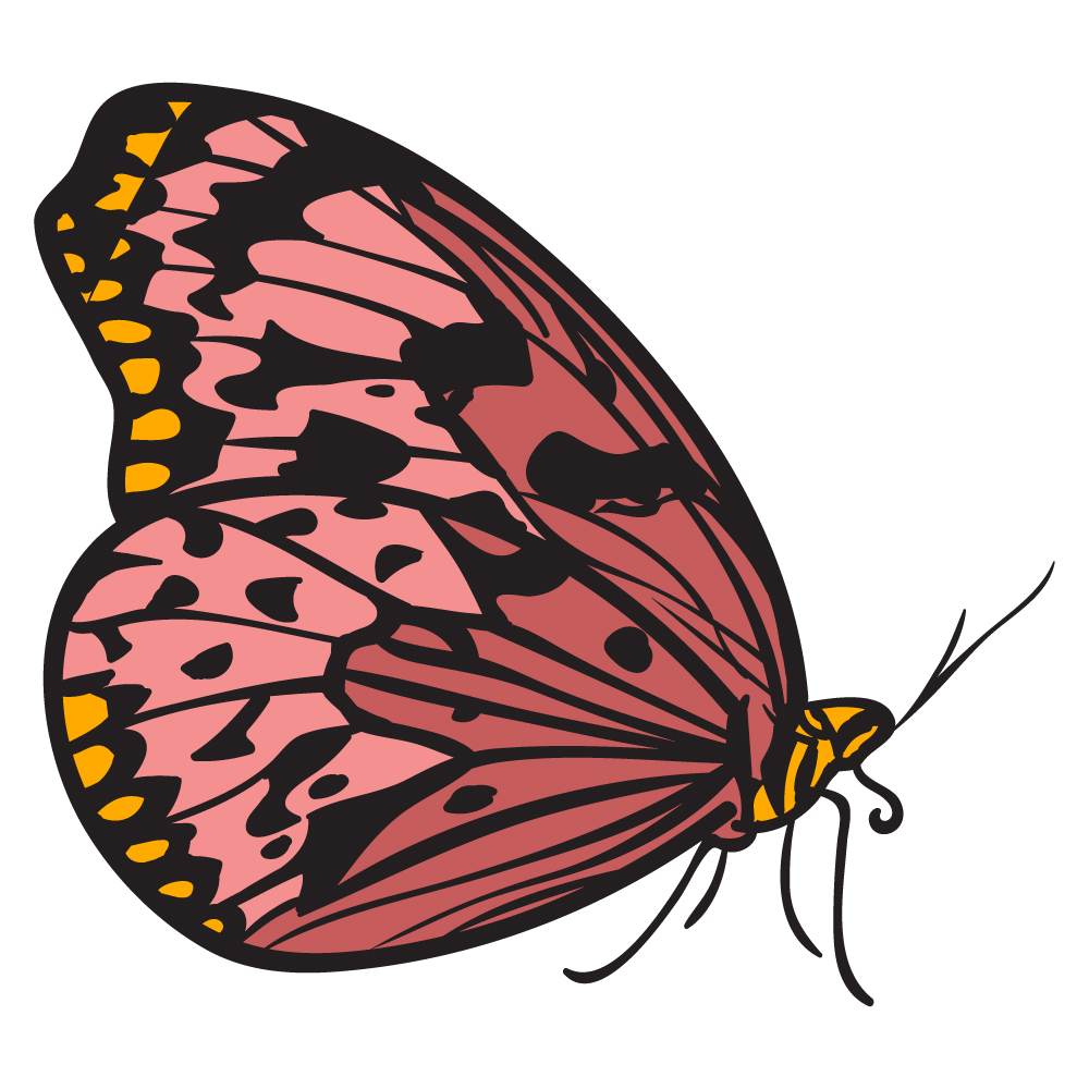 BD-Butterfly-Cutout-15_1_-Frm_133752.jpg