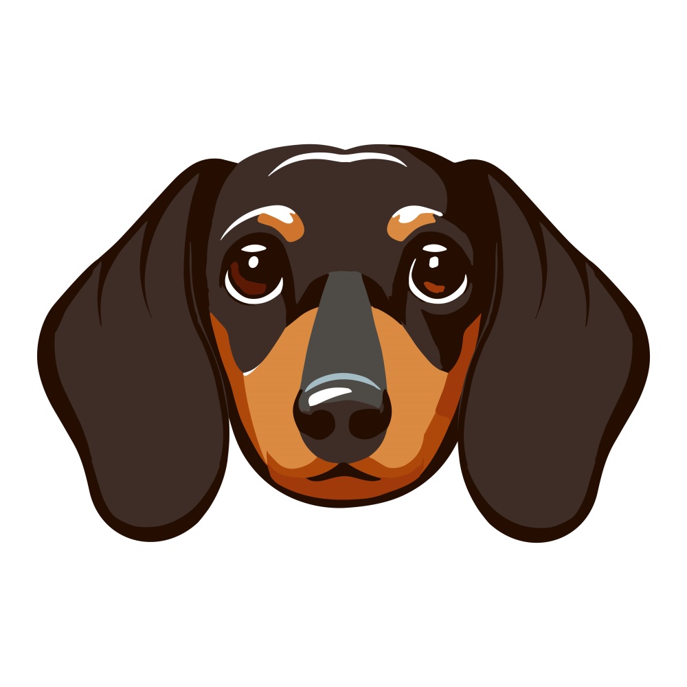 BD-Dogs-Cutout-Daschund_1_-Frm_925978.jpg