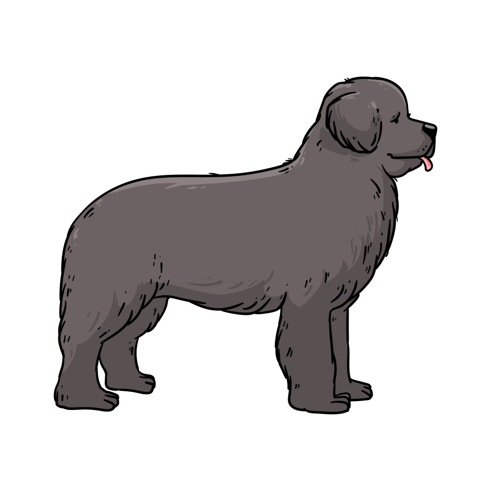 BD-Dogs-Cutout-Newfoundlan-Dog_1_-Frm_973410.jpg