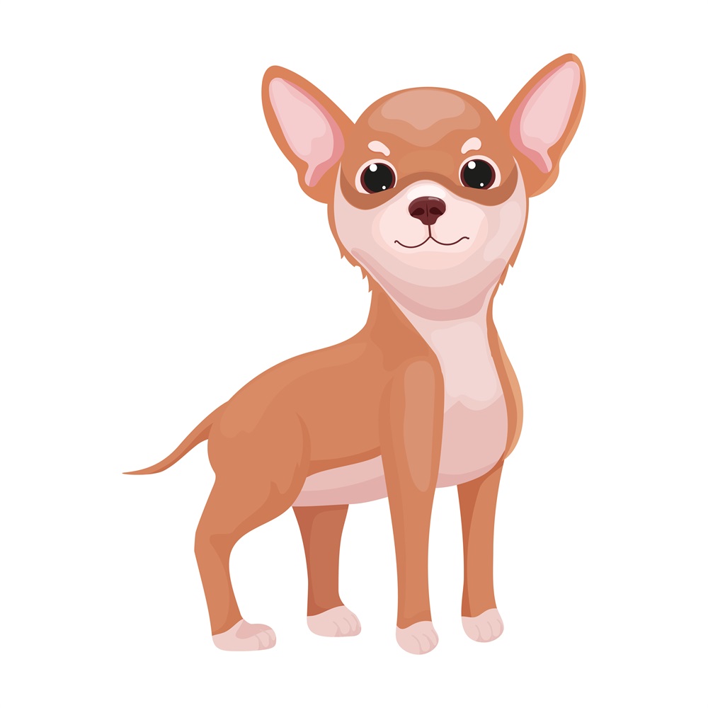 BD-Dogs-Full-Chihuahua_1_-Frm_460190.jpg