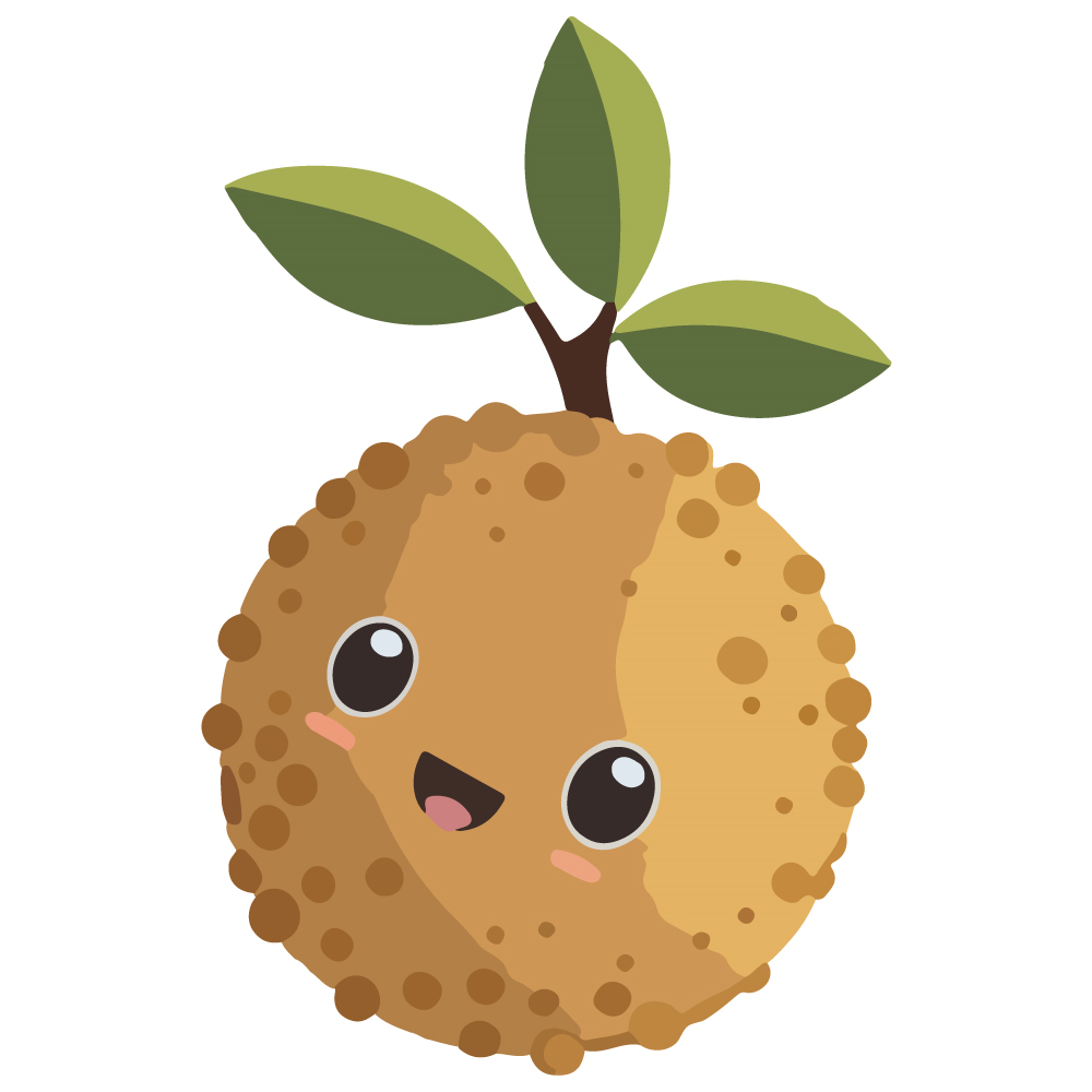 BD-Fruit-Cutout-Cartoon-Longan_1_-Frm_961164.jpg