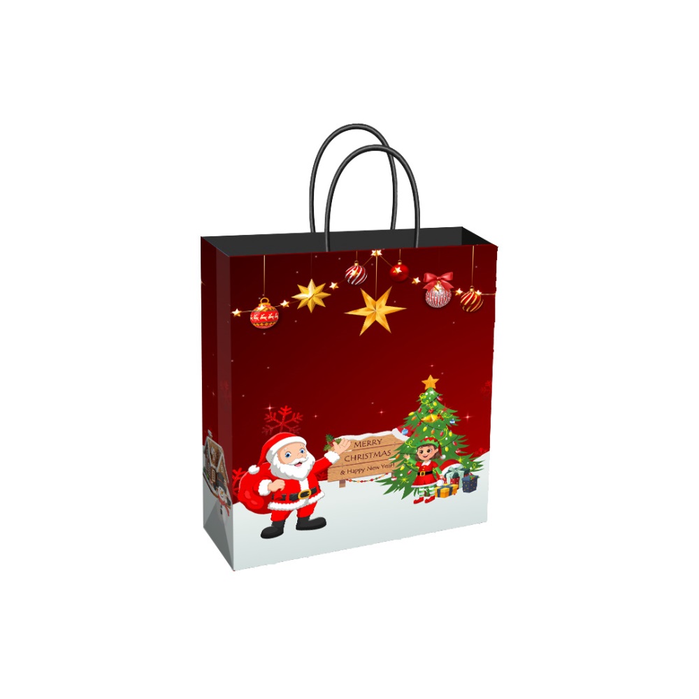 BD-G-Gift-Bag-Med-Christmas-02_1_-Frm_523720.jpg