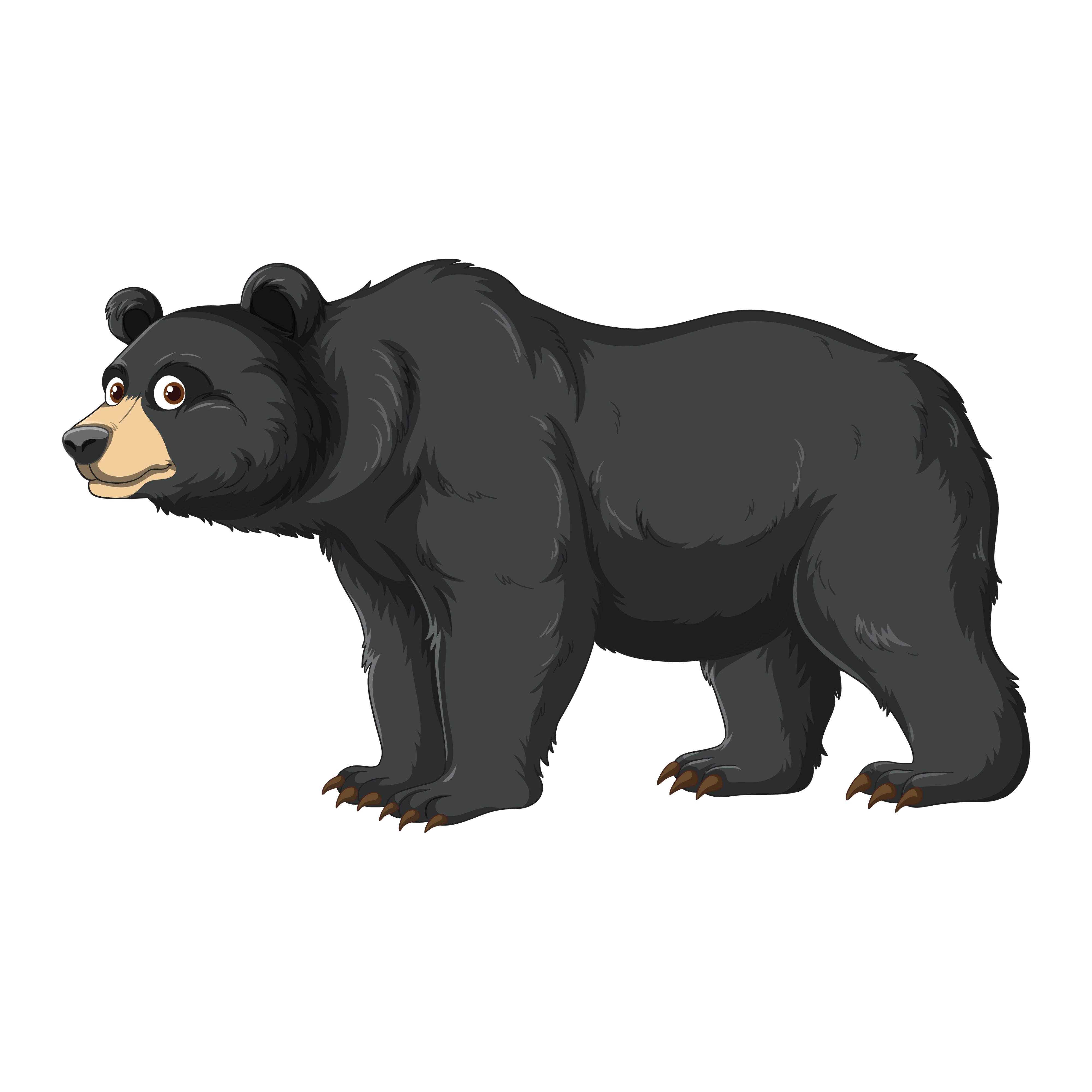 BD-Jungle-Cutout-Bear_1_-Frm_871857.jpg
