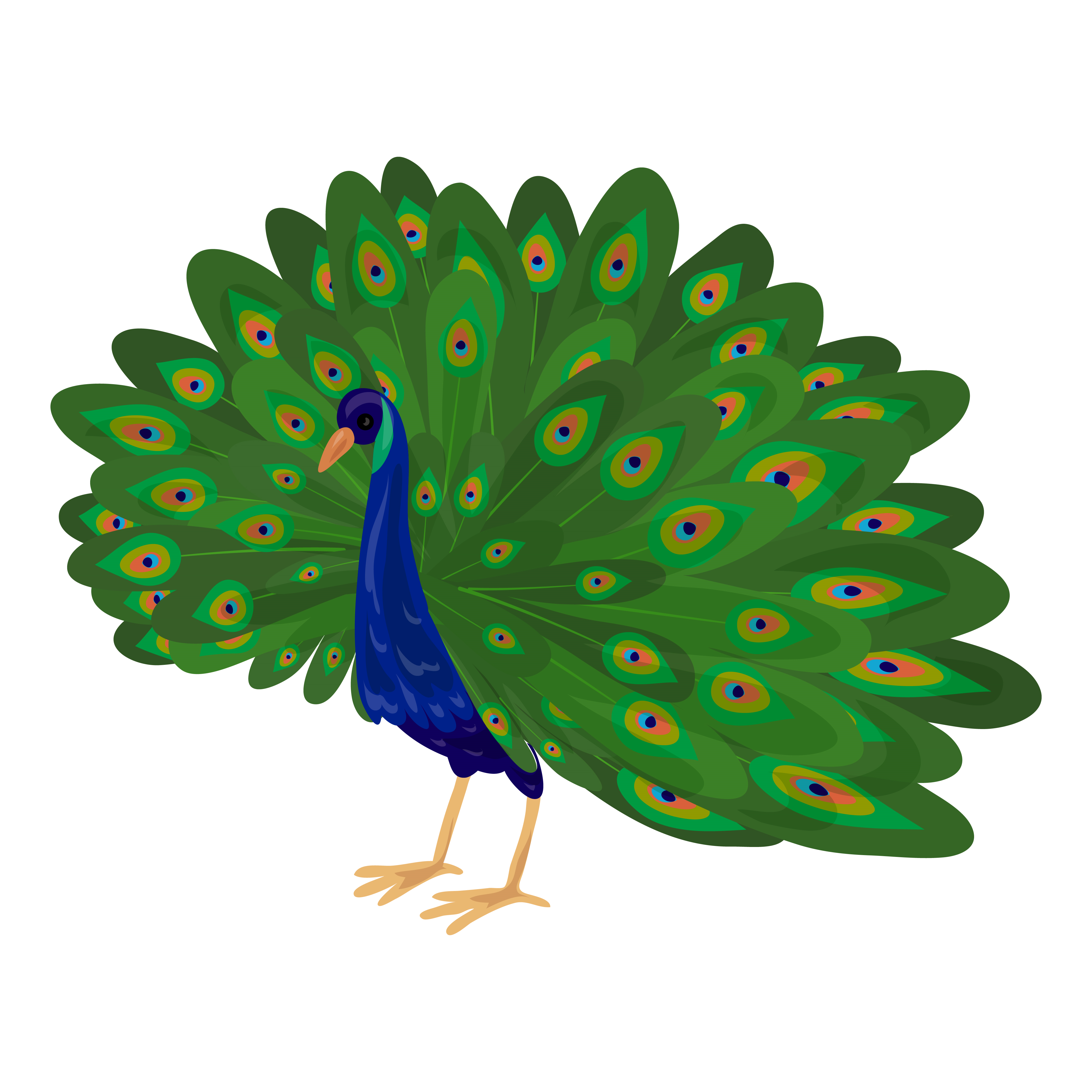BD-Jungle-Cutout-Peacock_1_-Frm_976235.jpg