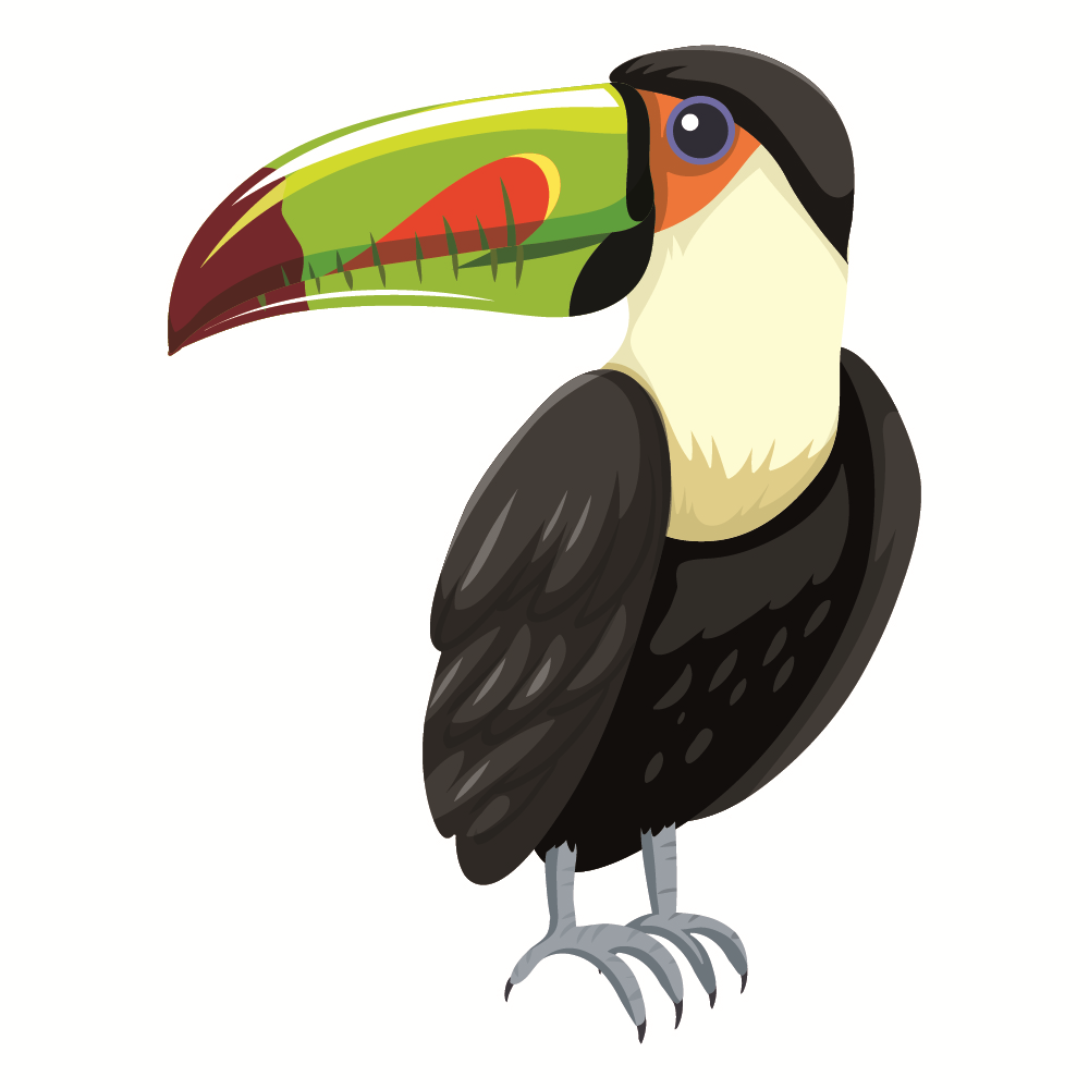 BD-Jungle-Cutout-Toucan_1_-Frm_490263.jpg
