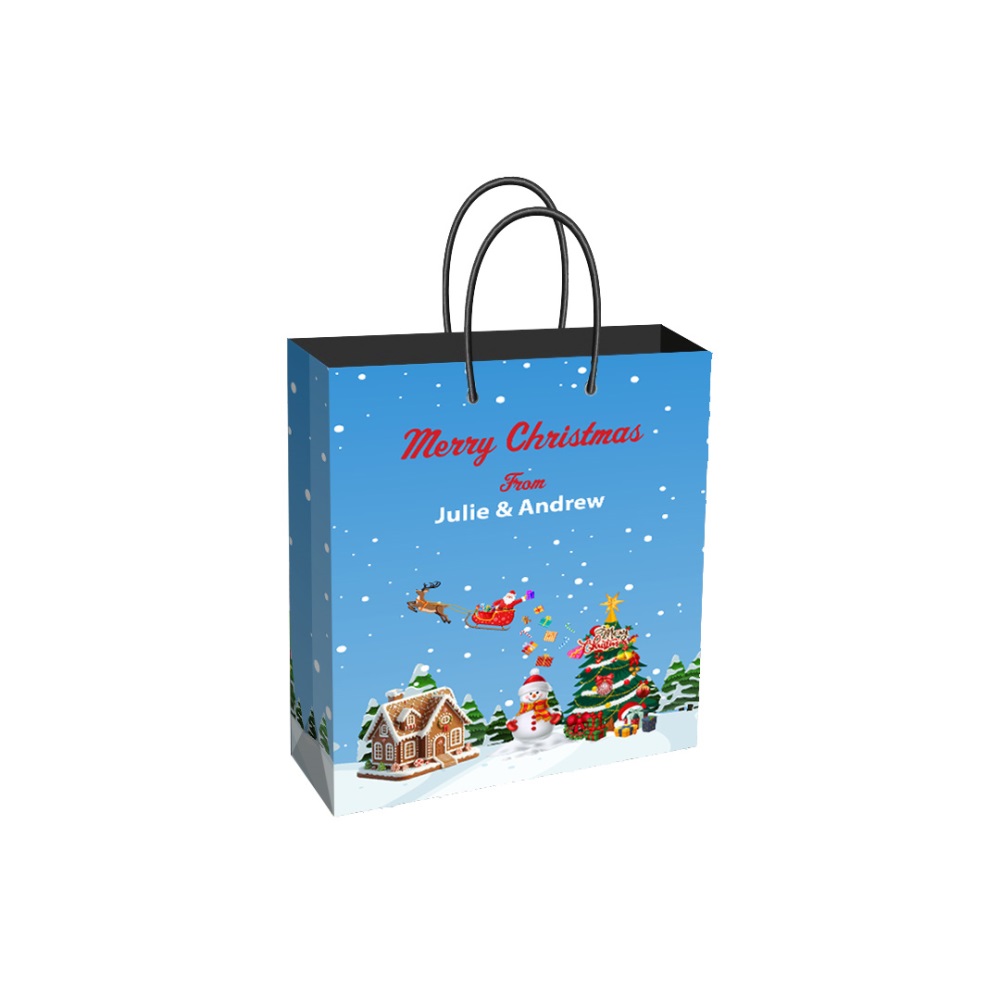 BD-N-Gift-Bag-Med-Christmas-01_1_-Frm_579441.jpg