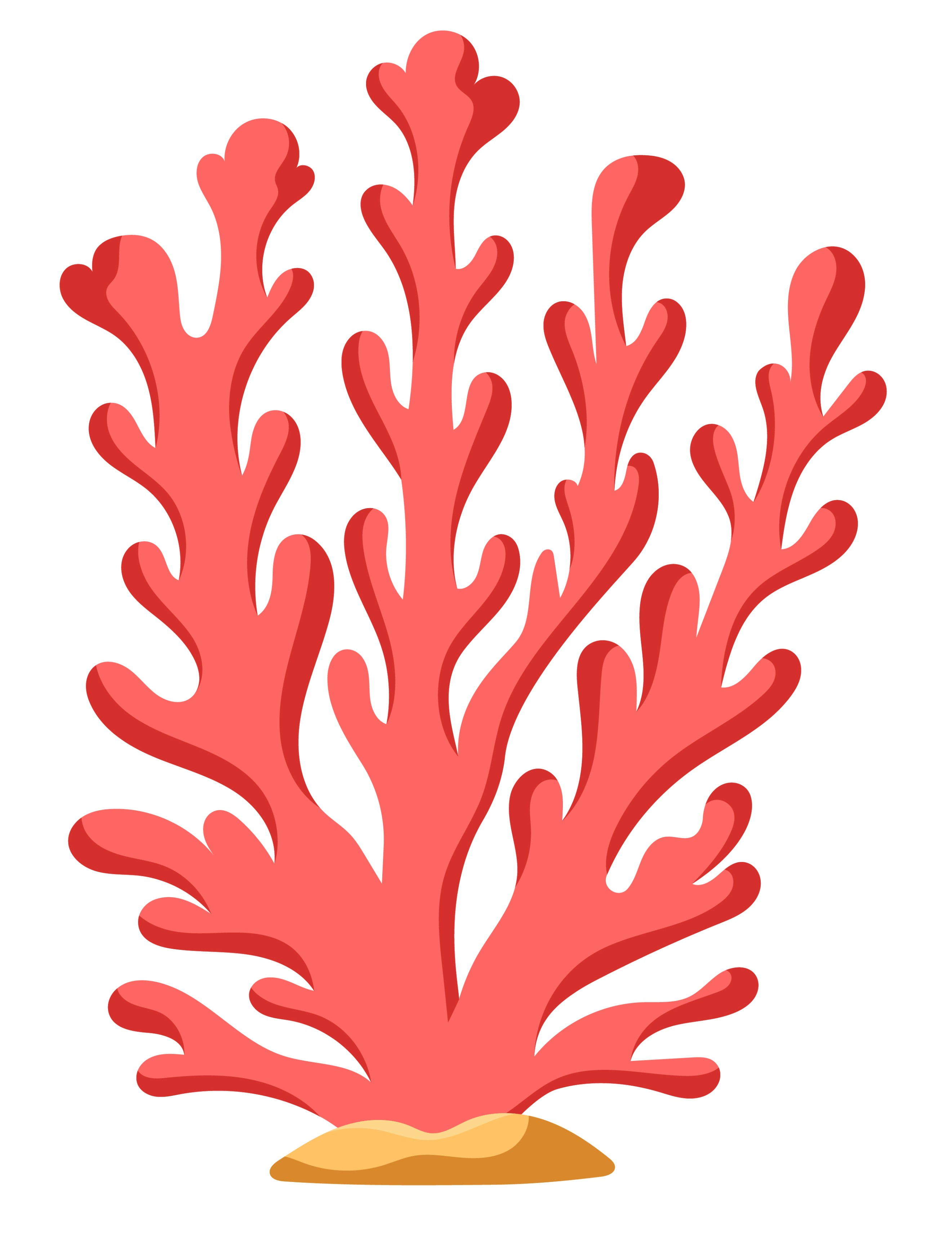 BD-Under-Sea-Cutout-Coral_1_-Frm_126258.jpg