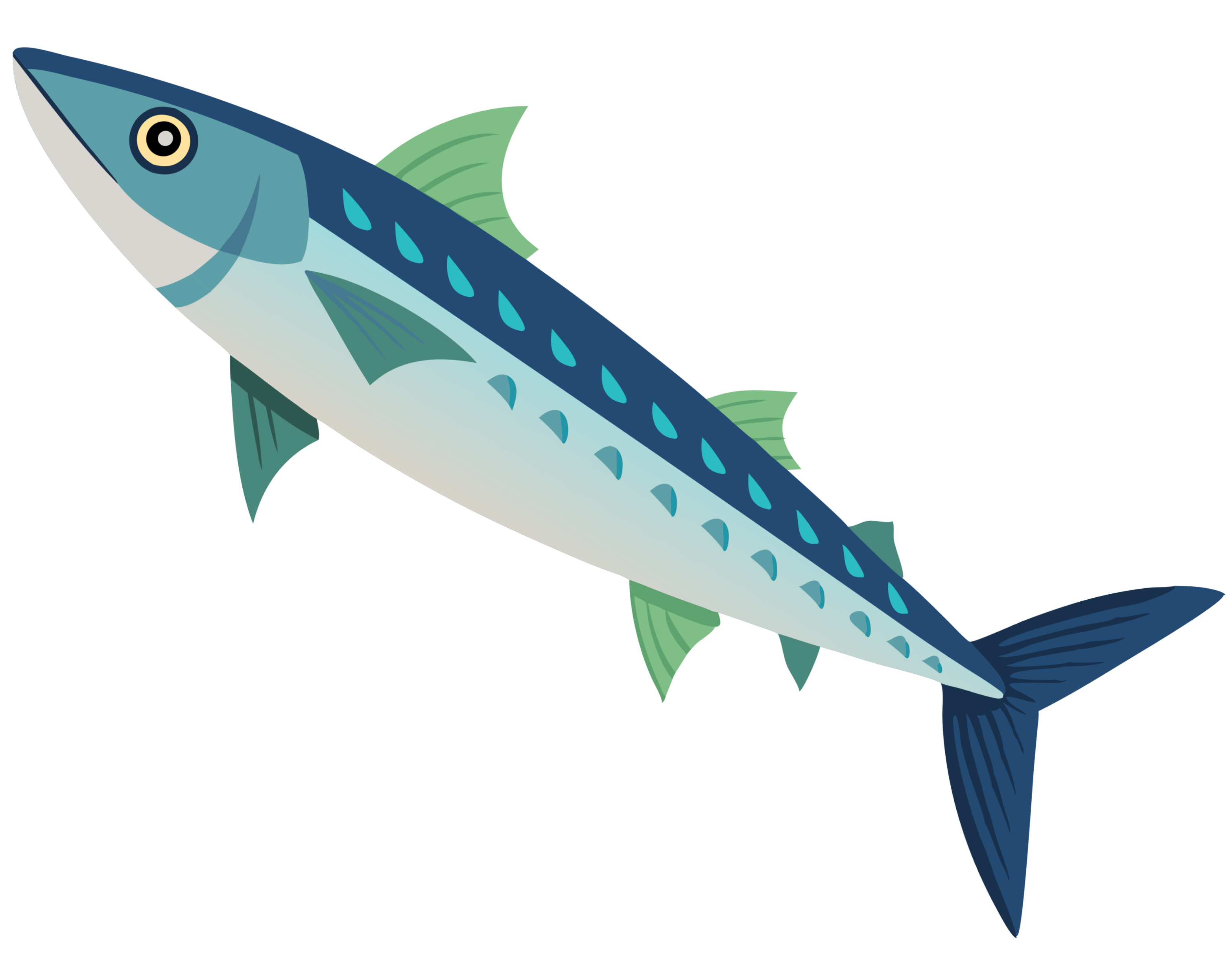 BD-Under-Sea-Cutout-Sardine_1_-Frm_995771.jpg
