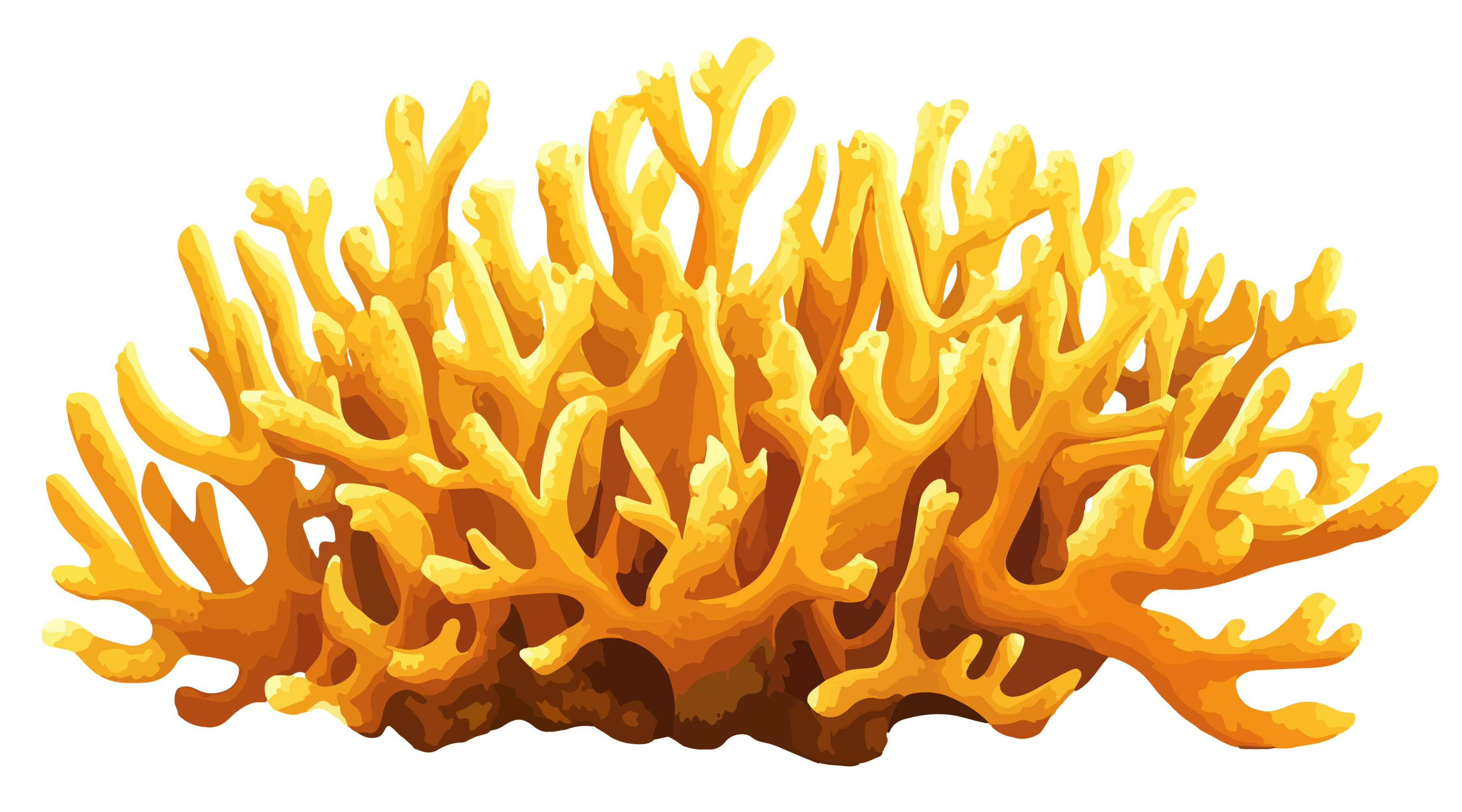 BD-Under-Sea-Cutout-Sea-Coral_1_-Frm_310096.jpg