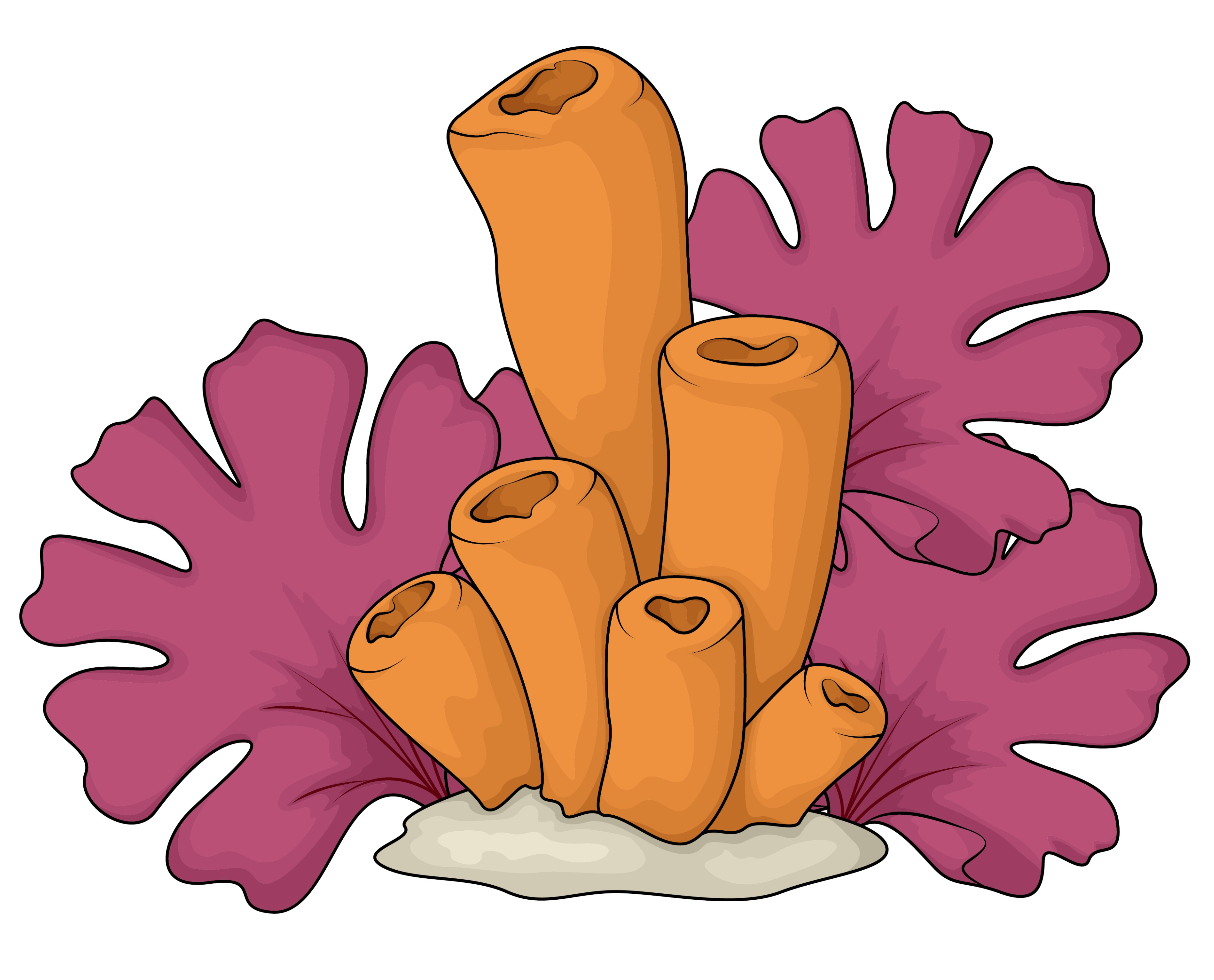 BD-Under-Sea-Cutout-Seaweed_1_-Frm_742415.jpg
