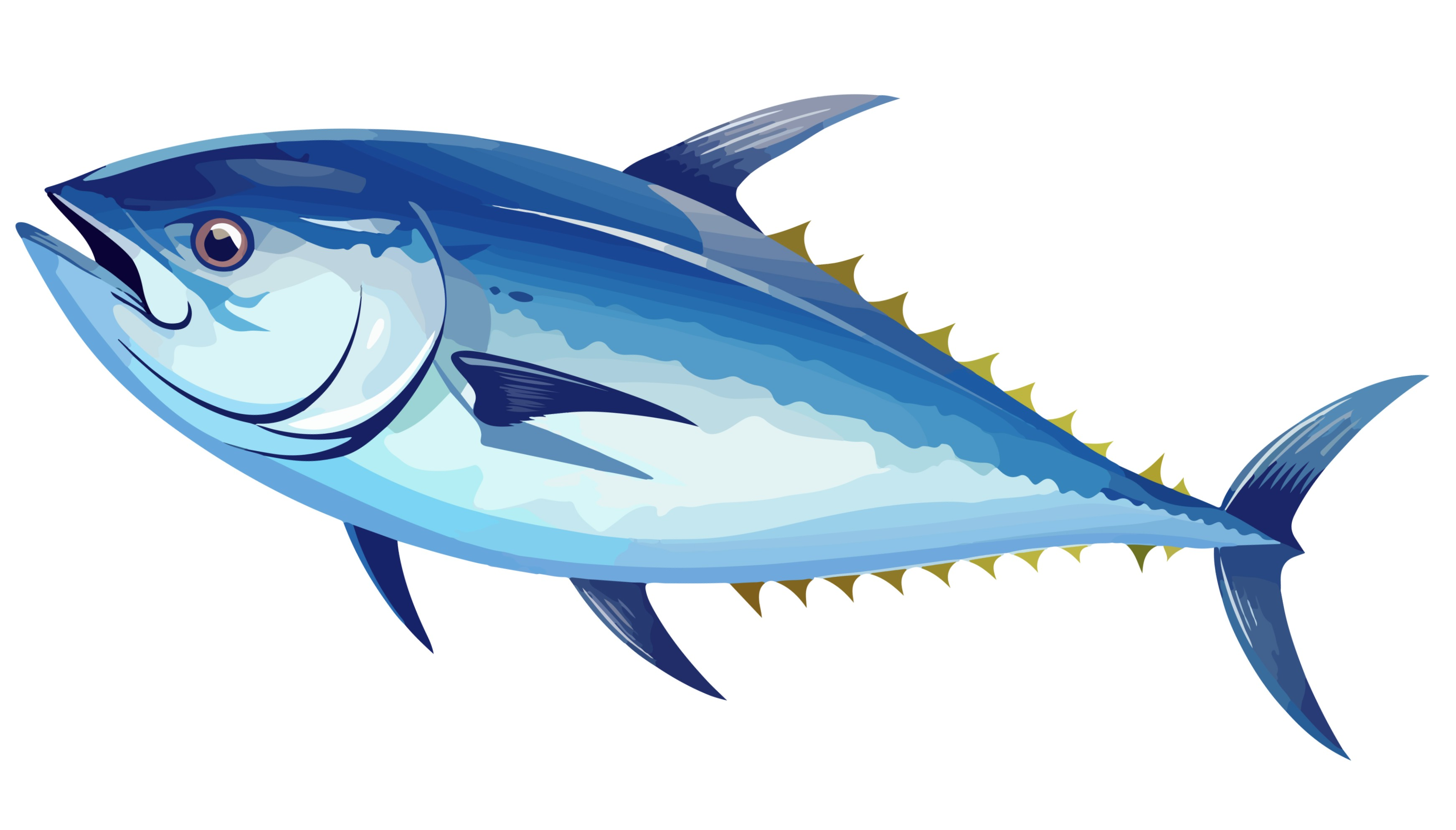 BD-Under-Sea-Cutout-Tuna_1_-Frm_431324.jpg