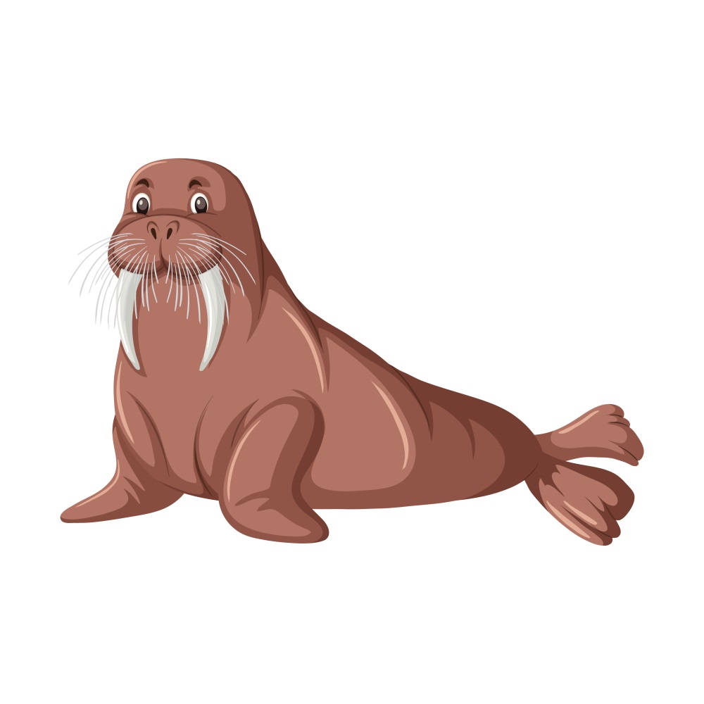 BD-Under-Sea-Cutout-Walrus_1_-Frm_284464.jpg