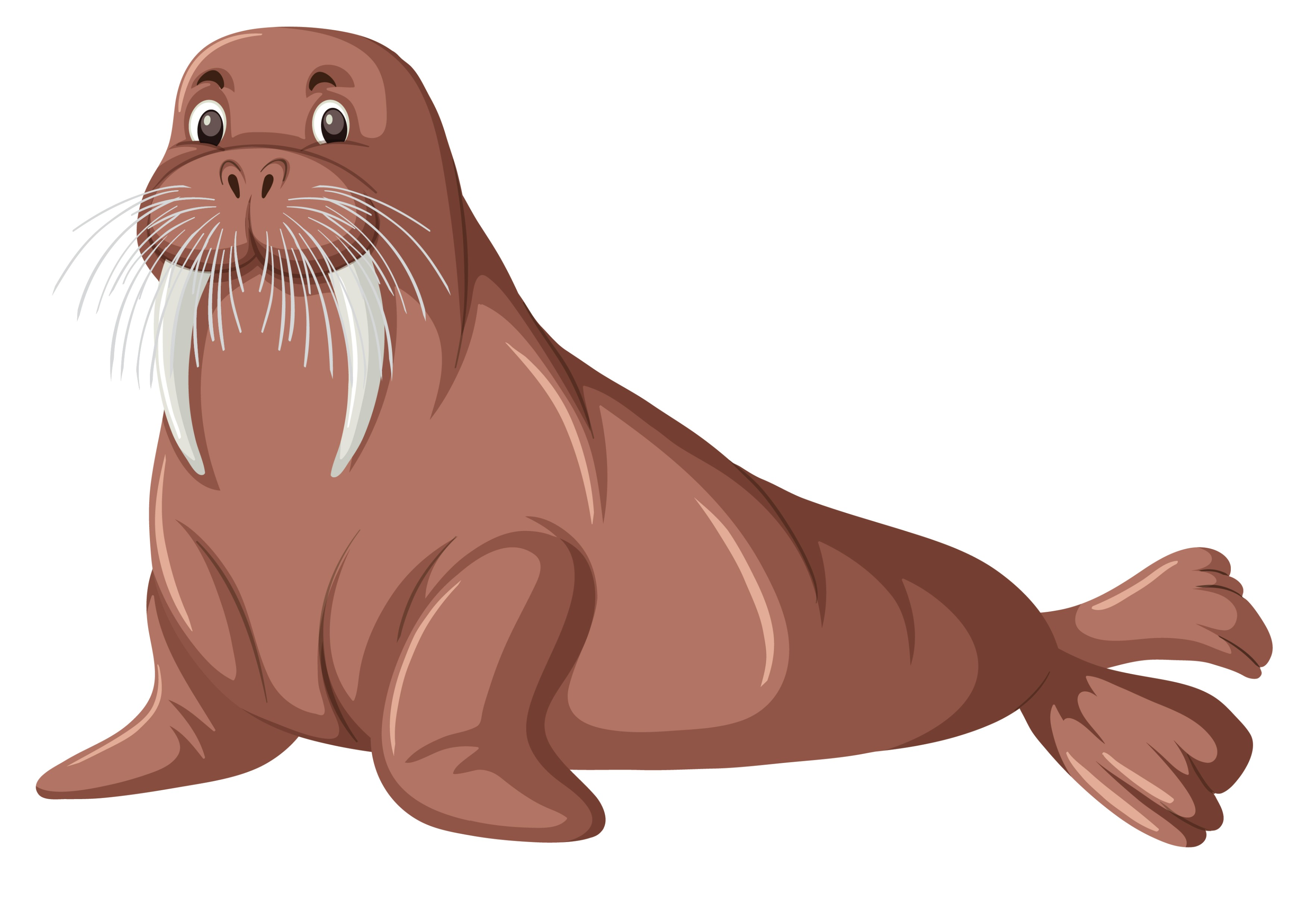 BD-Under-Sea-Cutout-Walrus_1_-Frm_634407.jpg