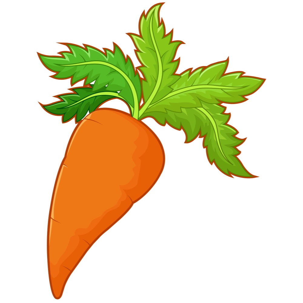 BD-Veg-Cutout-Plain-Carrot_1_-Frm_810257.jpg