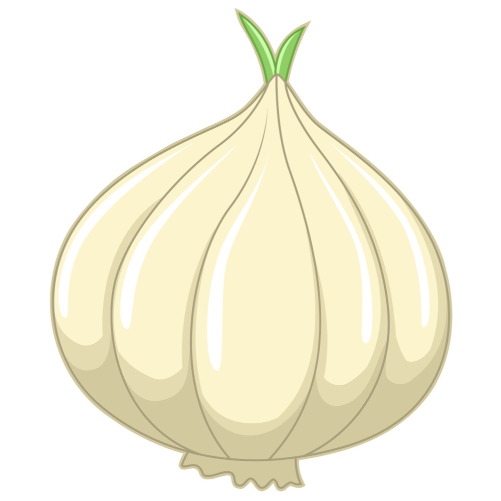 BD-Veg-Cutout-Plain-Garlic_1_-Frm_386450.jpg