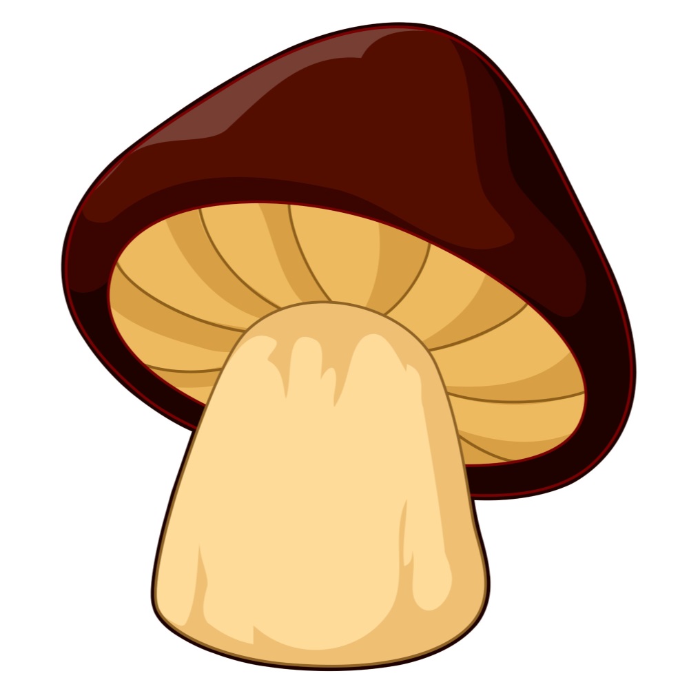 BD-Veg-Cutout-Plain-Mushroom_1_-Frm_990533.jpg