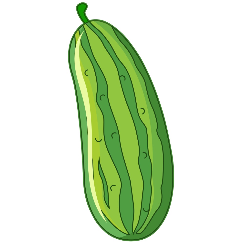 BD-Veg-Cutout-Plain-Squash_1_-Frm_558545.jpg