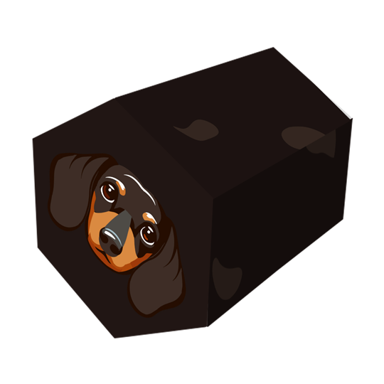 BDRG-G-M-Hex-Dachshund_1_-Frm_971578.png