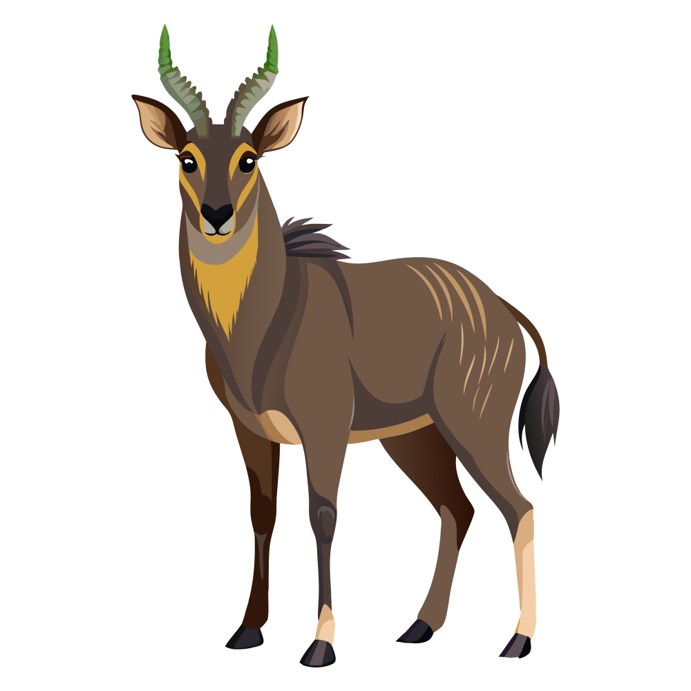 RS-BD-Jungle-Cutout-Nilgai_1_-Frm_922602.jpg