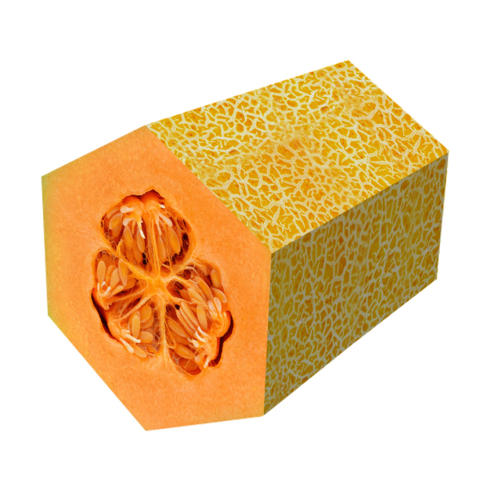 RS-Fruit-MG-Hex-Melon_1_-Frm_209030.png