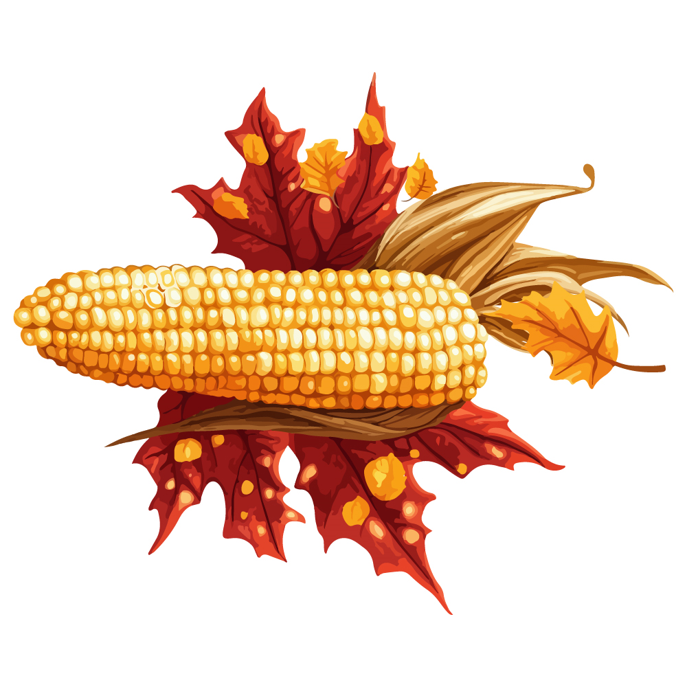 TG-Thanksgiving-Corn_1_-Frm_507679.jpg
