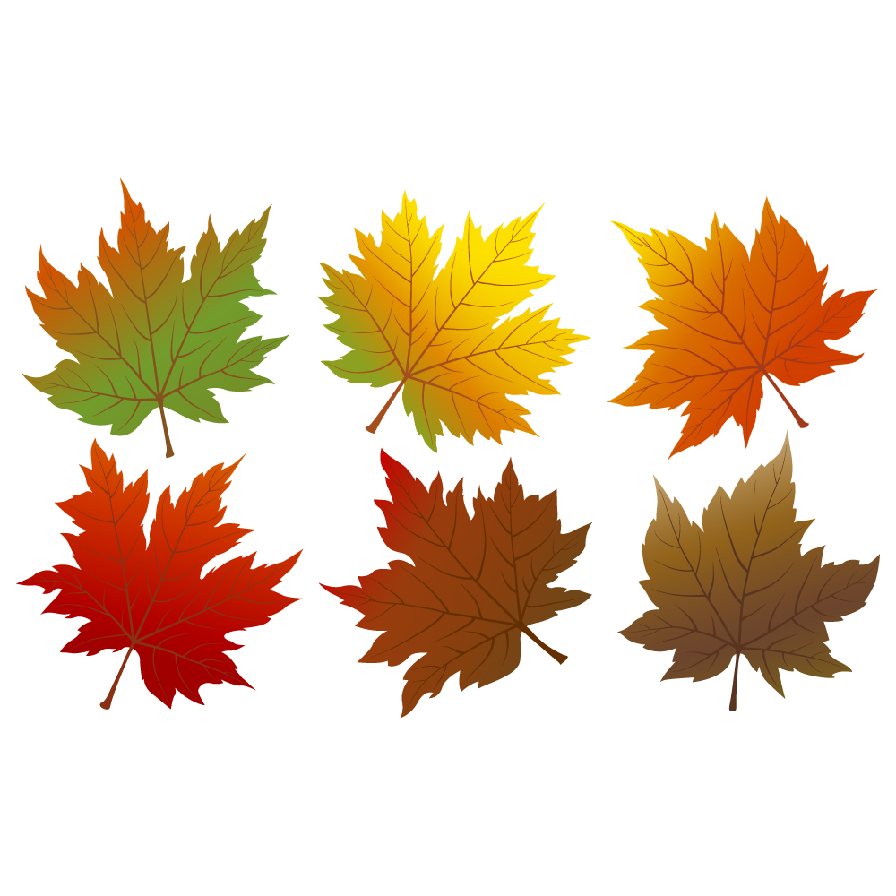 TG-Thanksgiving-Maple-Leaf-2_1_-Frm_949084.jpg