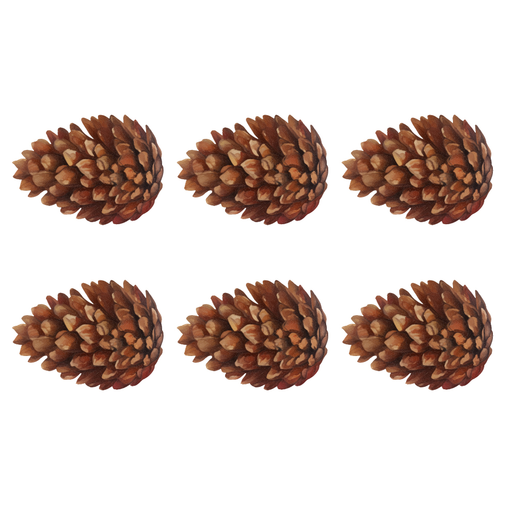 TG-Thanksgiving-Pine-Cones_1_-Frm_810174.jpg