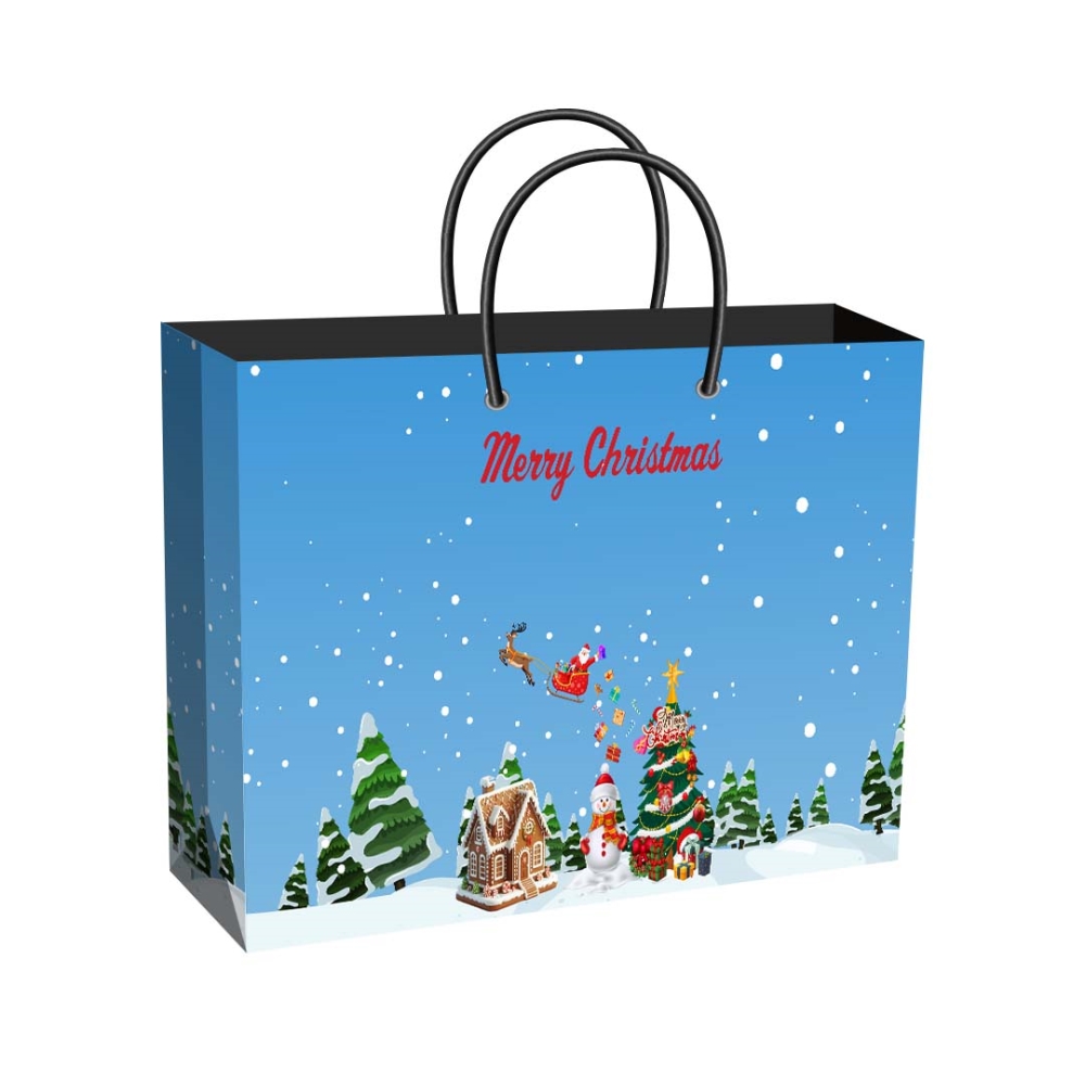 WRG-G-Wide-Christmas-Bag-01_1_-Frm_103711.jpg