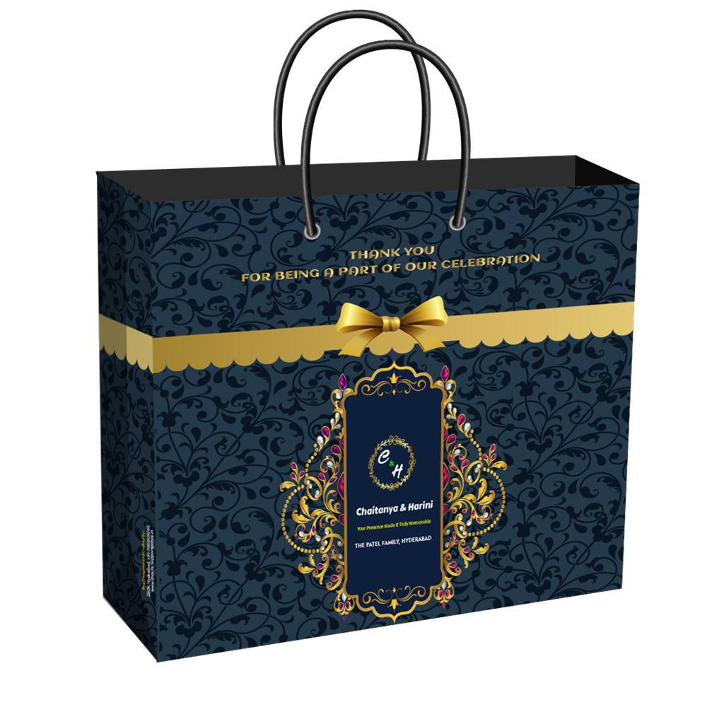 ZBox-WRG-Bag-GG-XL-01_1_-Frm_257427.png